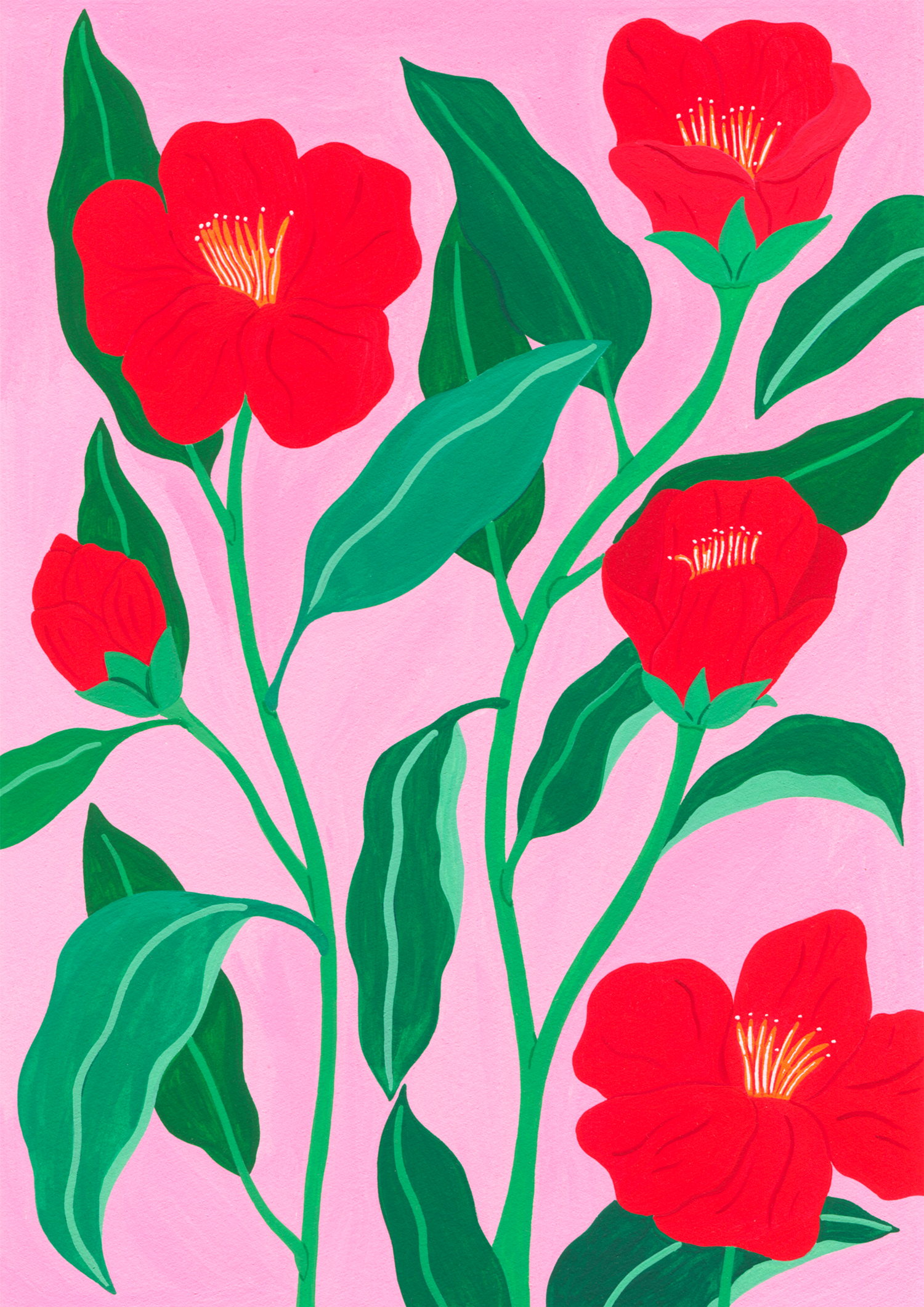 Marie-pellet-illustrations-gouache-Camellias-hongkongensis-fleurs-projet-personnel-portfolio