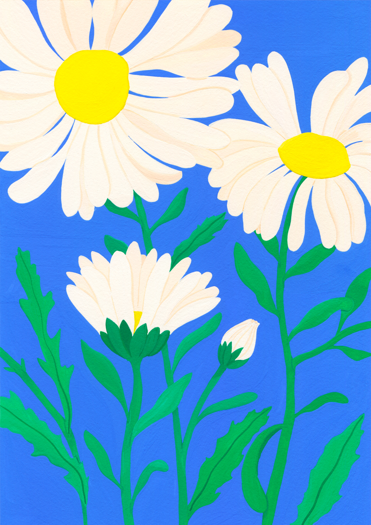 Marie-pellet-illustrations-gouache-daisy-fleurs-projet-personnel-portfolio