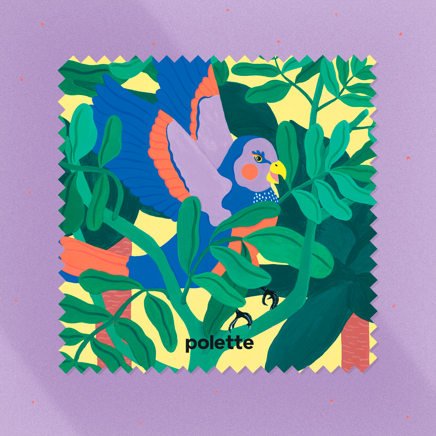 Marie-pellet-illustrations-portfolio-gouache-illustration-communication-polette-wipes-sunglasses-tissu-rainforest-jungle-parakeet-gif