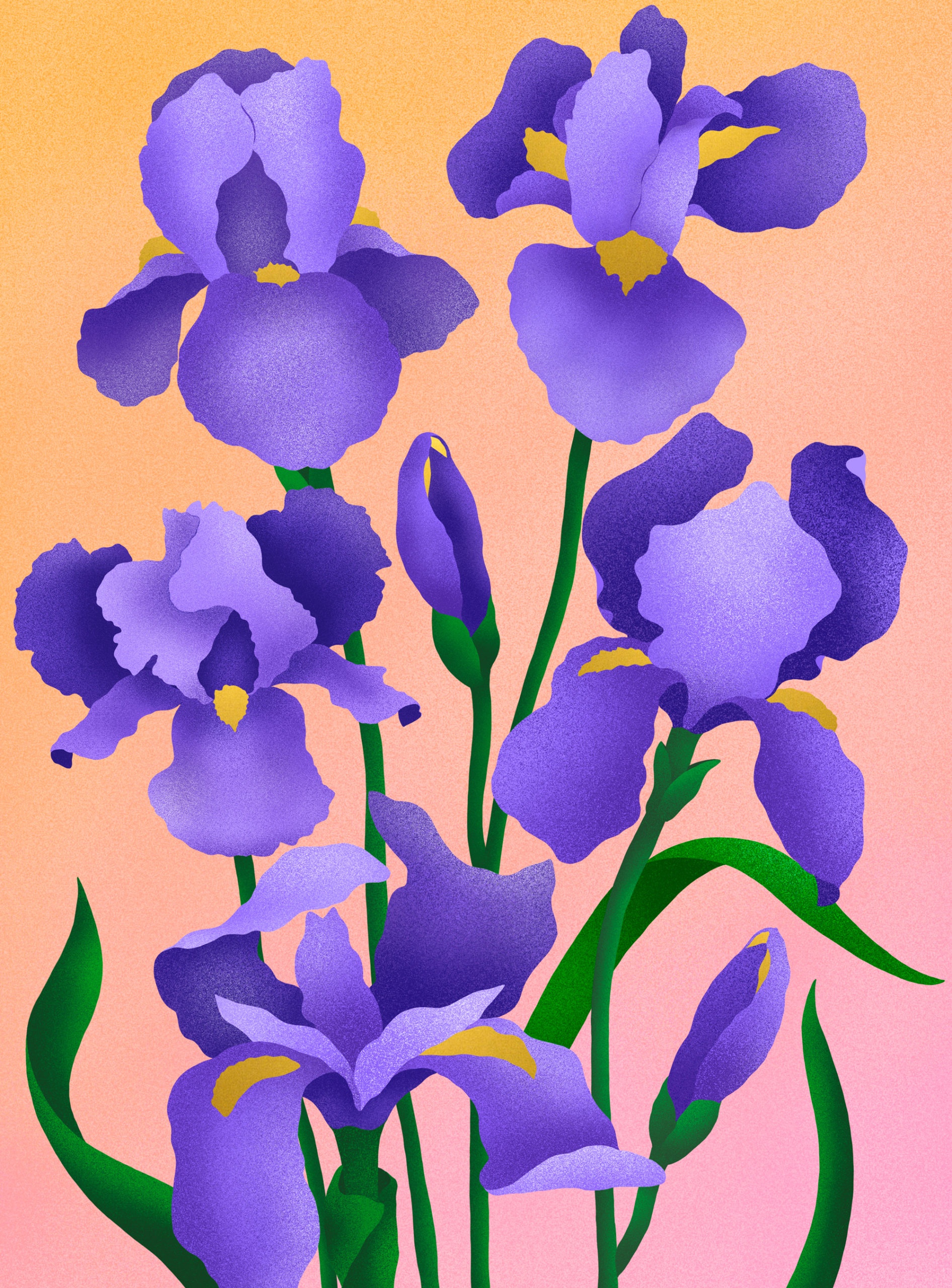 Marie Pellet - portfolio - Adopt - parfume - beauty - Tendre Iris - flowers - digital painting - packaging - commissioned work - French brand