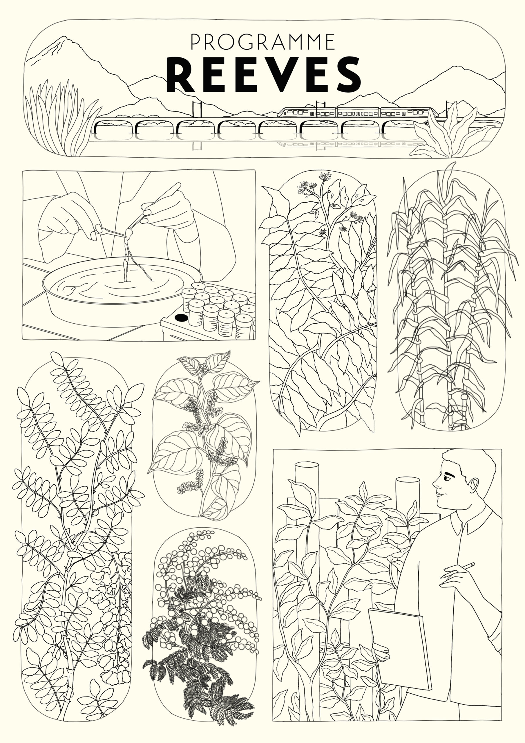 Marie Pellet - Illustration - graphic design - portfolio - 2023 - SNCF - Programme REEVES - Botanique - croquis