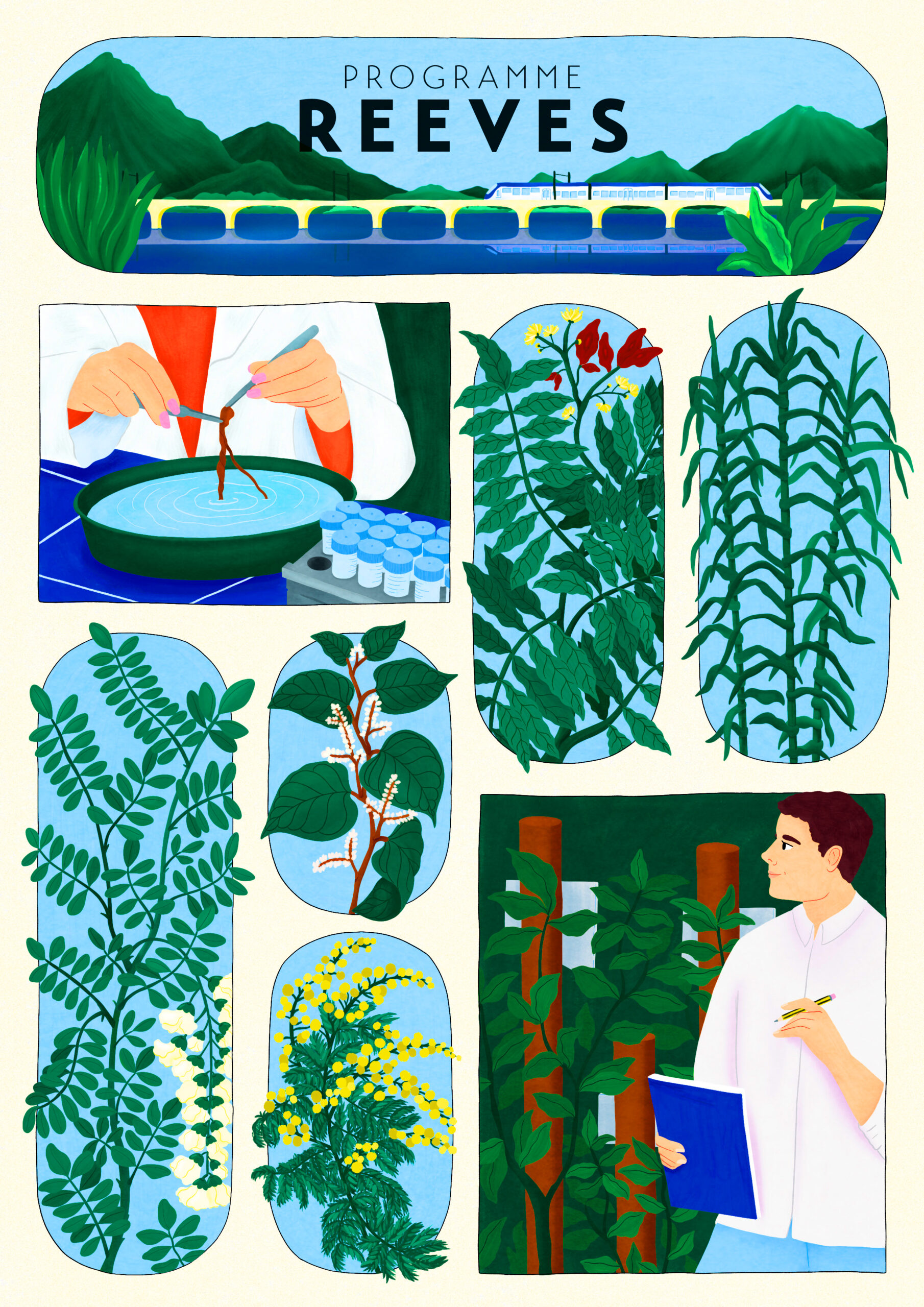 Marie Pellet - Illustration - graphic design - portfolio - 2023 - SNCF - Programme REEVES - Botanique